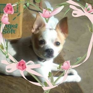 Meet your Posher, Vickie